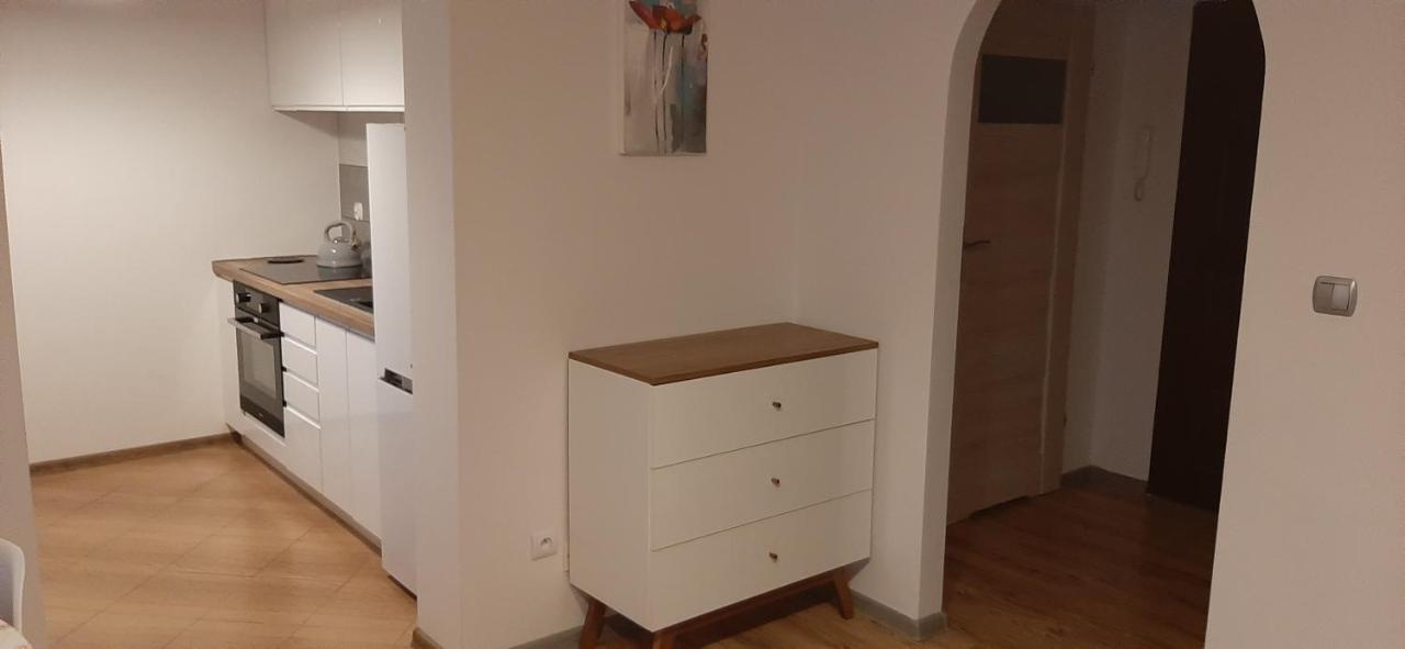 Apartament Oliver ชวีโนวิชแจ ภายนอก รูปภาพ